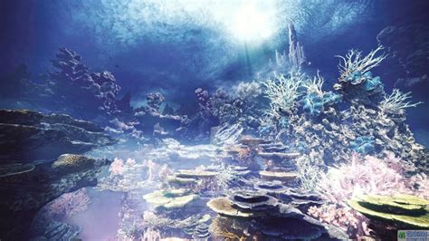 coral highlands tailraiders.